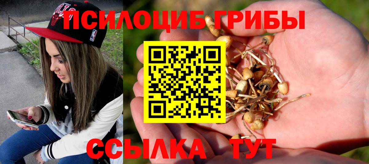Псилоцибиновые грибы мухоморы Павловский Посад