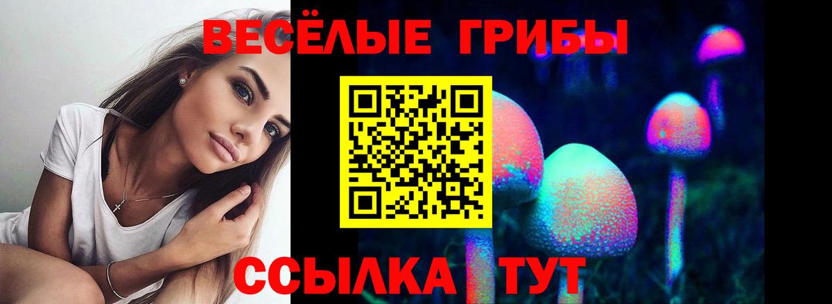 Павловский Посад  Псилоцибиновые грибы мухоморы  Вход с VPN 